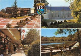 78-LA CELLE SAINT CLOUD-N°T2197-B/0391 - La Celle Saint Cloud