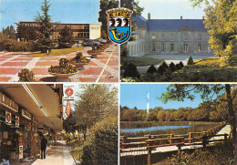 78-LA CELLE SAINT CLOUD-N°T2197-B/0183 - La Celle Saint Cloud