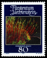 LIECHTENSTEIN 1981 Nr 779 Postfrisch SB4648A - Nuovi