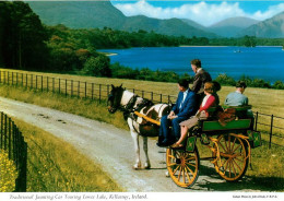 JAUNTING CAR KILLARNEY IRLAND Irlande 37  (scan Recto-verso)MA1956Bis - Otros & Sin Clasificación