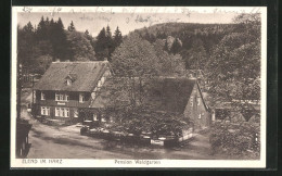 AK Elend /Harz, Hotel-Pension Waldgarten  - Otros & Sin Clasificación