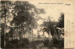 Congo - Plantations Dans Le Mayumbe - Autres & Non Classés