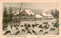 73811481 Bad Harzburg Molkenhaus Wildfuetterung Am Wintersportplatz Bad Harzburg - Bad Harzburg