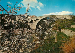 CERET Cerisiers En Fleurs 60  (scan Recto-verso)MA2046Bis - Ceret