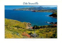 BANYULS Sur MER Les Criques Du Cap BEAR 51  (scan Recto-verso)MA2048Bis - Banyuls Sur Mer