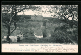 AK Kohlhof Bei Heidelberg, Ortsansicht Am Hang  - Heidelberg