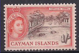 Cayman Islands 1953 QE2 1/-d Turtle In Crawl MM SG 158 ( J515 ) - Kaaiman Eilanden