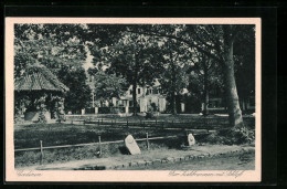 AK Cadinen, Der Ziehbrunnen Mit Schloss  - Westpreussen