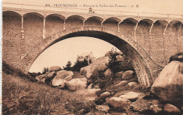 22 PLOUMANACH LE PONT SUR LA VALLEE DES TROIEROS - Ploumanac'h