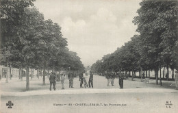 86 CHATELLERAULT LES PROMENADES - Chatellerault