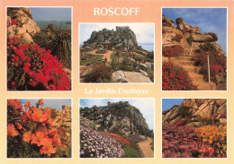 29 ROSCOFF JARDIN EXOTIQUE - Roscoff