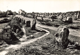 56 CARNAC ALIGNEMENTS DE MENECS - Carnac