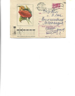 Russia -  Postal St.cover Used 1972  -    Flowers  - - Andere & Zonder Classificatie