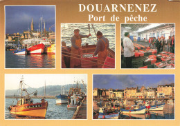 29 DOUARNENEZ - Douarnenez