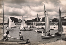 29  BENODET SUIPES ET CANETONS - Bénodet