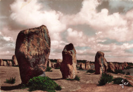 56  CARNAC LES ALIGNEMENTS DU MENEC - Carnac