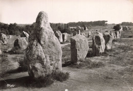 56  CARNAC MENHIRS DE KERMARIO - Carnac