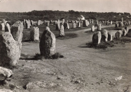 56  CARNAC ALIGNEMENTS DU MENEC - Carnac