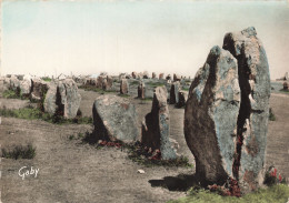 56  CARNAC MENHIRS DU MENEC - Carnac