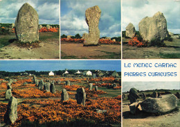 56  CARNAC LE MENEC PIERRES CURIEUSES - Carnac