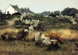 56  CARNAC LES ALIGNEMENTS DU MENEC - Carnac