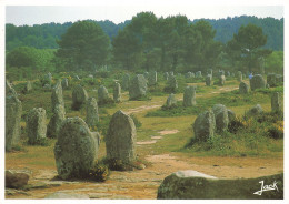 56  CARNAC LES ALIGNEMENTS DE MENHIRS DU MENEC - Carnac