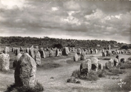 56  CARNAC LES ALIGNEMENTS DU MENEC - Carnac