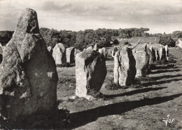 56  CARNAC ALIGNEMENTS DE KERMARIO - Carnac