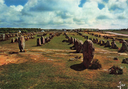 56  CARNAC LES ALIGNEMENTS DU MENEC - Carnac