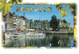 14 HONFLEUR LE BASSIN - Honfleur