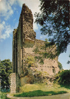 61 DOMFRONT LES RUINES DU DONJON - Domfront