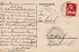 POW - Kgf: AK Aus Luzern, Nach Dresden Internierung 1918 - Storia Postale