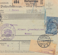 Zensur: Paketkarte Oberlauchringen Nach Memel (Selbstbucher) - Postüberwachung - Klaipeda 1923