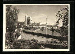 AK Stuttgart, Weissenhofsiedlung Mit Höhenrestaurant Schönblick, Bauhaus  - Other & Unclassified