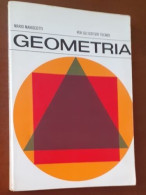 "Geometria Per Gli Istituti Tecnici" Di Mario Mariscotti - Mathematics & Physics