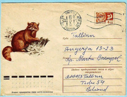 USSR 1974.0121. Raccoon (Procyon Lotor). Prestamped Cover, Used - 1970-79