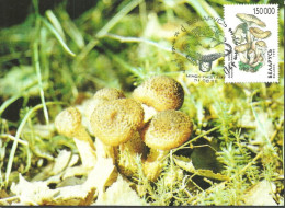 Belarus 1999 Mi 334  Max Card  (MAX ZE4 BYL334) - Mushrooms