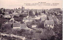 21 - Cote D Or -   SAULIEU -  Vue Générale - Saulieu