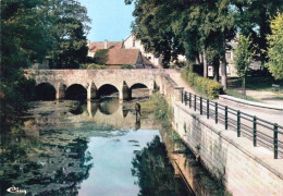 21 - Cote  D Or -  CHATILLON Sur SEINE -  Promenade Au Pont Des Grilles - Bord De La Douix - Chatillon Sur Seine