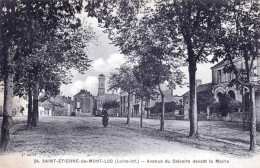 44 - Loire Atlantique -  SAINT ETIENNE  De MONTLUC - Avenue Du Calvaire Devant La Mairie - Saint Etienne De Montluc