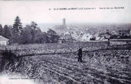 44 - Loire Atlantique -  SAINT ETIENNE  De MONTLUC - Vue Prise Au Nord Est - Saint Etienne De Montluc