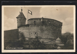 AK Schaffhausen, Blick Auf Die Burg Munot  - Other & Unclassified