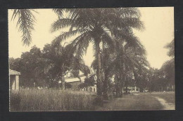 MISSIEN VAN SCHEUT - MERODE (KASAI) - DE MISSIE - NELS (6398) - Belgian Congo