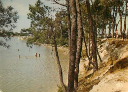 Lac Belle Isle Chateauroux  10  (scan Recto-verso)MA2060Bis - Chateauroux