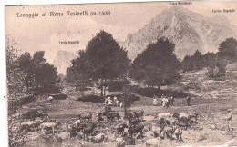 PIANI RESINELLI LAVAGGIO - Lecco