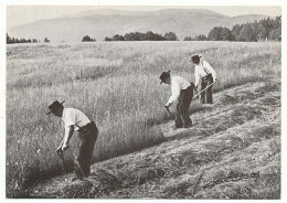 CPSM / CPM 10.5 X 15 Photographe JOËL COUCHOURON Les Vosges Trois Bons Faucheurs 1978  "trô Bons Soyous" - Altri & Non Classificati