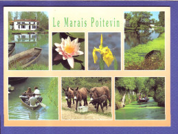 79 - MARAIS POITEVIN - MULTIVUES DU MARAIS -  - Other & Unclassified