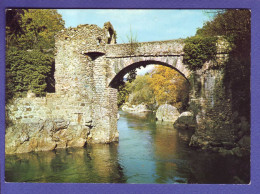 09 - ARIEGE - PONT Du DIABLE ENTRE  Les VILLAGES De GINABAT Et MONTOULIEU -  - Otros & Sin Clasificación