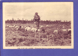 40  - LANDES - ECHASSIER FILANT EN GARDANT LES MOUTONS -  - Aquitaine