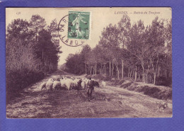 40  - LANDES - RENTREE Du TROUPEAU De MOUTON - ANIMEE -  - Aquitaine